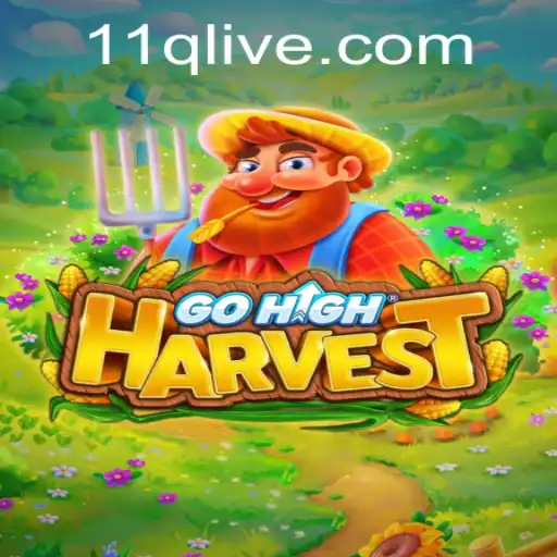 Exploring the World of GoHighHarvest and Understanding the 11q PH Login